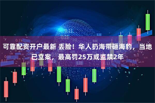 可靠配资开户最新 丢脸！华人扔海带砸海豹，当地已立案，最高罚25万或监禁2年